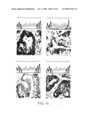 Novel Tumour Suppressor diagram and image