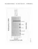 siRNA targeting inner centromere protein antigens (INCENP) diagram and image