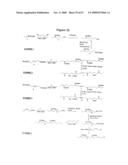 NOVEL POLYAMINE ANALOG CONJUGATES AND QUINONE CONJUGATES AS THERAPIES FOR CANCERS AND PROSTATE DISEASES diagram and image