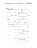 NOVEL POLYAMINE ANALOG CONJUGATES AND QUINONE CONJUGATES AS THERAPIES FOR CANCERS AND PROSTATE DISEASES diagram and image