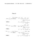 NOVEL POLYAMINE ANALOG CONJUGATES AND QUINONE CONJUGATES AS THERAPIES FOR CANCERS AND PROSTATE DISEASES diagram and image