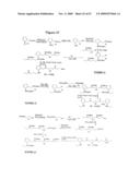 NOVEL POLYAMINE ANALOG CONJUGATES AND QUINONE CONJUGATES AS THERAPIES FOR CANCERS AND PROSTATE DISEASES diagram and image