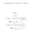 NOVEL POLYAMINE ANALOG CONJUGATES AND QUINONE CONJUGATES AS THERAPIES FOR CANCERS AND PROSTATE DISEASES diagram and image