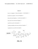 NOVEL POLYAMINE ANALOG CONJUGATES AND QUINONE CONJUGATES AS THERAPIES FOR CANCERS AND PROSTATE DISEASES diagram and image