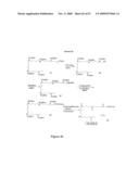 NOVEL POLYAMINE ANALOG CONJUGATES AND QUINONE CONJUGATES AS THERAPIES FOR CANCERS AND PROSTATE DISEASES diagram and image