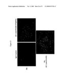 Use of A33 antigens and jam-it diagram and image