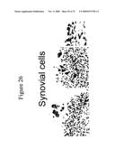 Use of A33 antigens and jam-it diagram and image