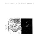 Use of A33 antigens and jam-it diagram and image