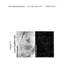 Use of A33 antigens and jam-it diagram and image