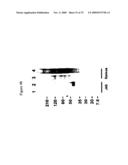 Use of A33 antigens and jam-it diagram and image