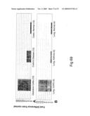 Use of A33 antigens and jam-it diagram and image