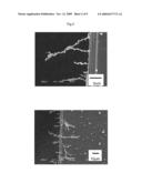 Method of Manufacturing Particle Wire diagram and image