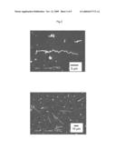 Method of Manufacturing Particle Wire diagram and image