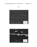 Method of Manufacturing Particle Wire diagram and image