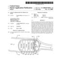 Image Stabilization of Video Play Back diagram and image