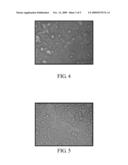 ANTIGLARE FILM AND MANUFACTURING METHOD THEREOF diagram and image