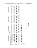 PARTIAL SCRAMBLING TO REDUCE CORRELATION diagram and image