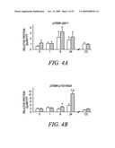 REGULATION OF MUSCLE REPAIR diagram and image