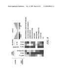 REGULATION OF MUSCLE REPAIR diagram and image