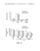 REGULATION OF MUSCLE REPAIR diagram and image