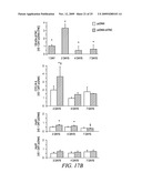 REGULATION OF MUSCLE REPAIR diagram and image