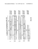 METHODS OF TREATING PROSTATE CANCER WITH ANTI-PROSTATE SPECIFIC MEMBRANE ANTIGEN ANTIBODIES diagram and image