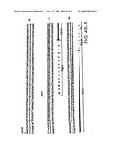 METHODS OF TREATING PROSTATE CANCER WITH ANTI-PROSTATE SPECIFIC MEMBRANE ANTIGEN ANTIBODIES diagram and image