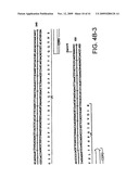 METHODS OF TREATING PROSTATE CANCER WITH ANTI-PROSTATE SPECIFIC MEMBRANE ANTIGEN ANTIBODIES diagram and image