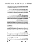 METHODS OF TREATING PROSTATE CANCER WITH ANTI-PROSTATE SPECIFIC MEMBRANE ANTIGEN ANTIBODIES diagram and image