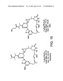 METHODS OF TREATING PROSTATE CANCER WITH ANTI-PROSTATE SPECIFIC MEMBRANE ANTIGEN ANTIBODIES diagram and image