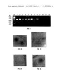 High-Efficiency Fusogenic Vesicles, Methods of Producing Them, and Pharmaceutical Compositions Containing Them diagram and image