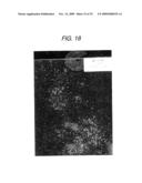 Polyurethanes, Articles and Coatings Prepared Therefrom and Methods of Making the Same diagram and image