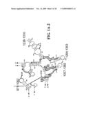 METHODS FOR RAPID IDENTIFICATION OF PATHOGENS IN HUMANS AND ANIMALS diagram and image