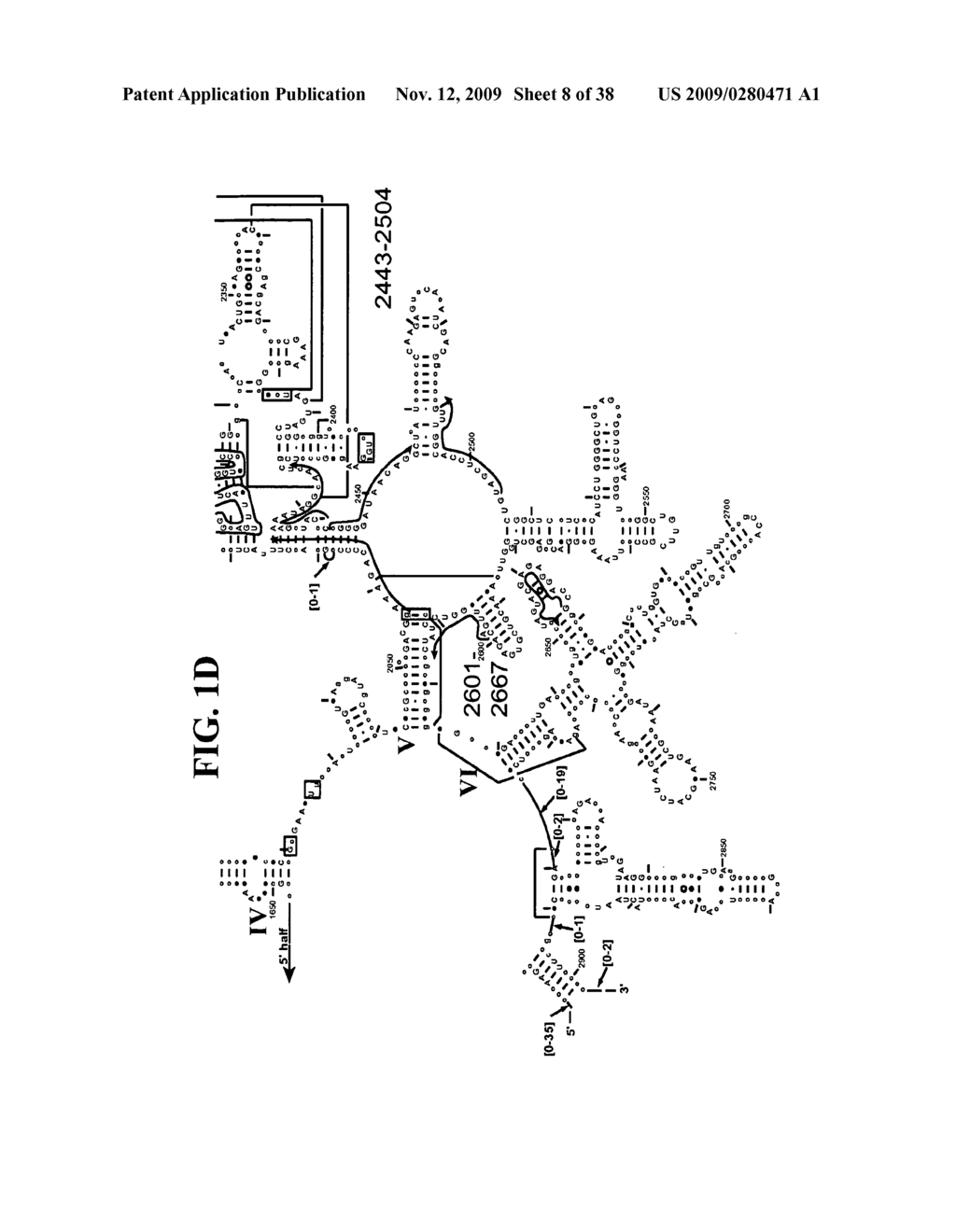 METHODS FOR RAPID IDENTIFICATION OF PATHOGENS IN HUMANS AND ANIMALS - diagram, schematic, and image 09