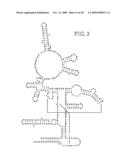 METHODS FOR RAPID IDENTIFICATION OF PATHOGENS IN HUMANS AND ANIMALS diagram and image