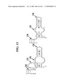 METHODS FOR RAPID IDENTIFICATION OF PATHOGENS IN HUMANS AND ANIMALS diagram and image