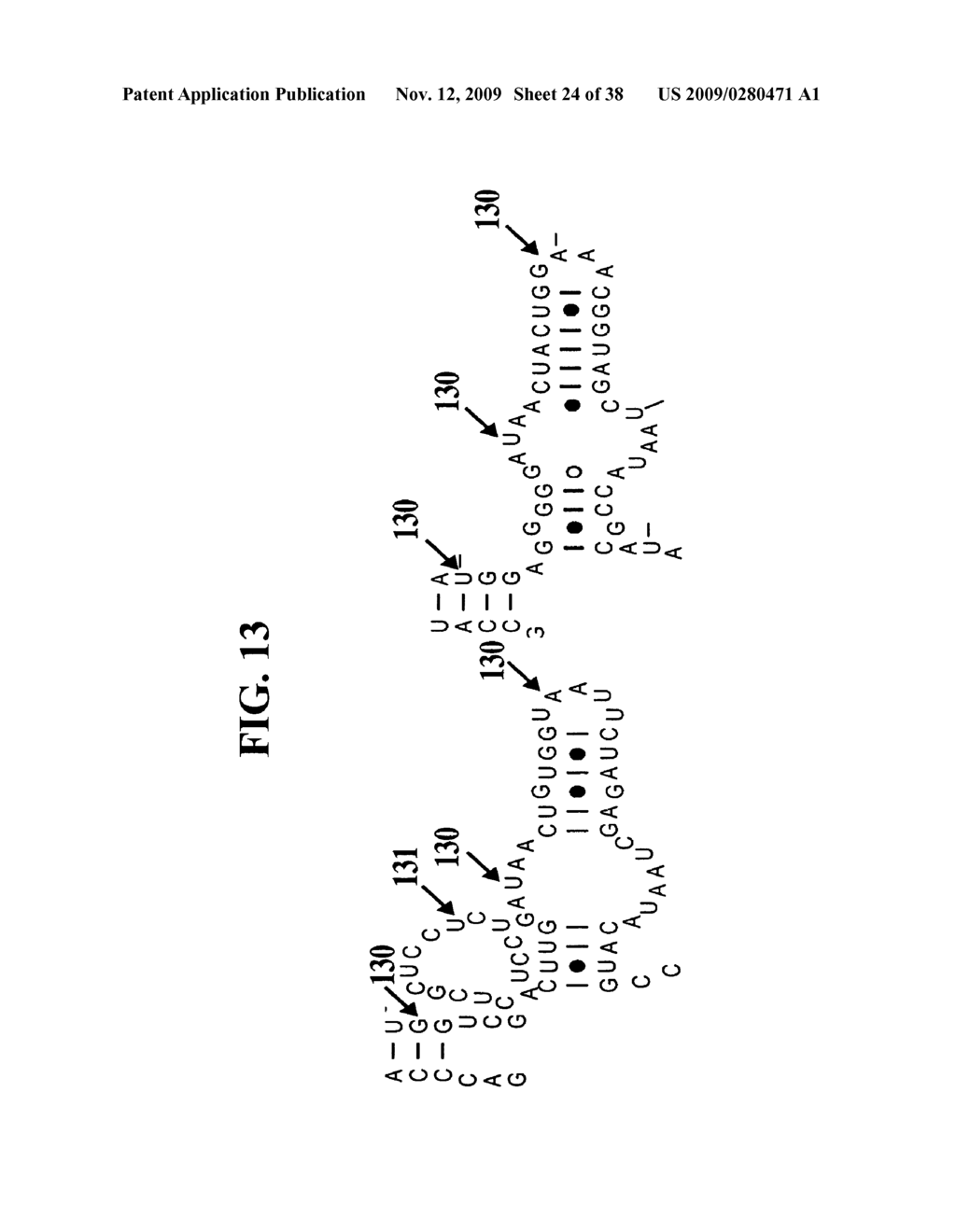 METHODS FOR RAPID IDENTIFICATION OF PATHOGENS IN HUMANS AND ANIMALS - diagram, schematic, and image 25