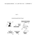 METHODS FOR RAPID IDENTIFICATION OF PATHOGENS IN HUMANS AND ANIMALS diagram and image