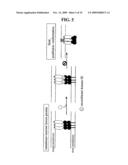 Inhibition of membrane fusion proteins diagram and image