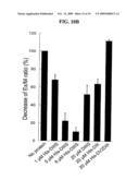 Inhibition of membrane fusion proteins diagram and image