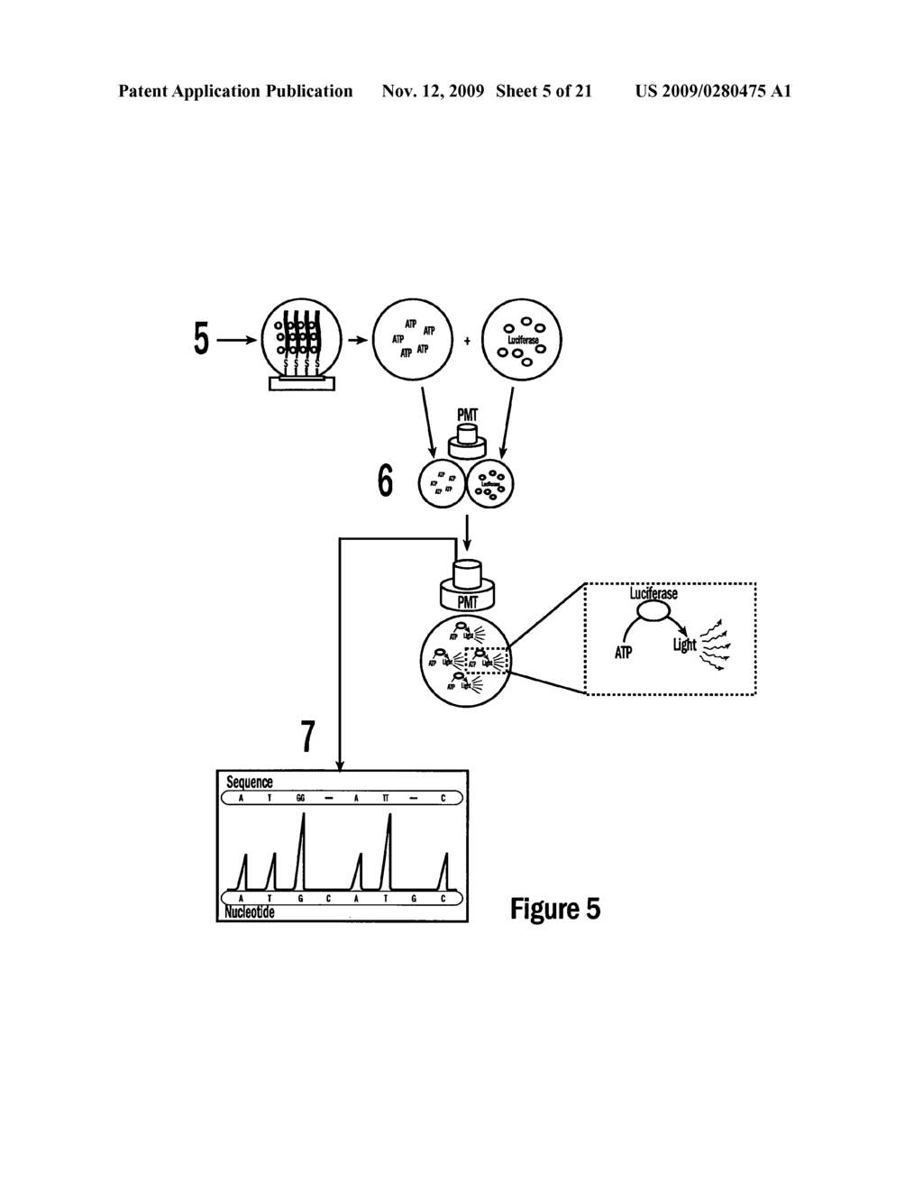 Droplet-based pyrosequencing - diagram, schematic, and image 06