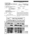 COMPOSITIONS AND METHODS FOR THE MODULATION OF PGRMC1 diagram and image