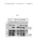 COMPOSITIONS AND METHODS FOR THE MODULATION OF PGRMC1 diagram and image