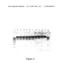 Method for Cloning and Expression of NruI Restriction Endonuclease diagram and image