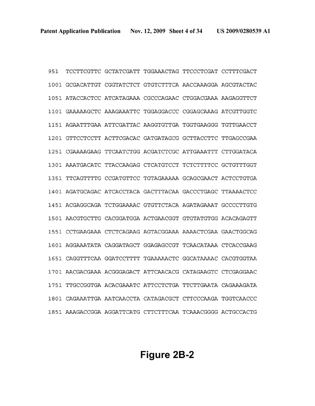 DNA POLYMERASES AND RELATED METHODS - diagram, schematic, and image 05