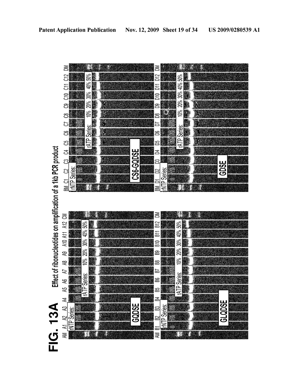 DNA POLYMERASES AND RELATED METHODS - diagram, schematic, and image 20