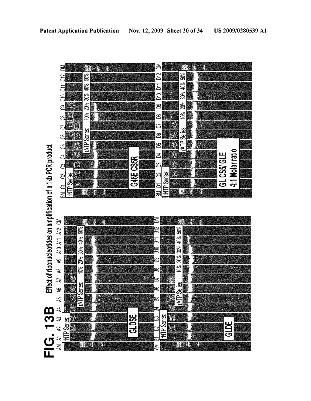 DNA POLYMERASES AND RELATED METHODS - diagram, schematic, and image 21