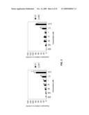 STABILIZED SIRNAS AS TRANSFECTION CONTROLS AND SILENCING REAGENTS diagram and image