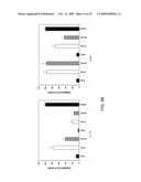 STABILIZED SIRNAS AS TRANSFECTION CONTROLS AND SILENCING REAGENTS diagram and image