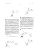 STABILIZED SIRNAS AS TRANSFECTION CONTROLS AND SILENCING REAGENTS diagram and image